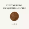 Bab'in Medium  Stérilisé 12 KG – Image 2