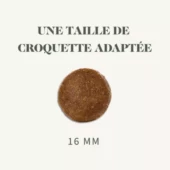 Bab'in Medium  Stérilisé 12 KG – Image 2