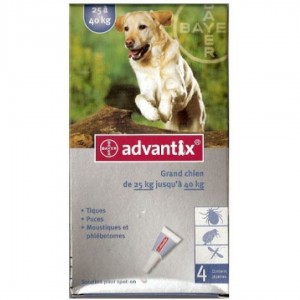 Advantix Grand Chien
