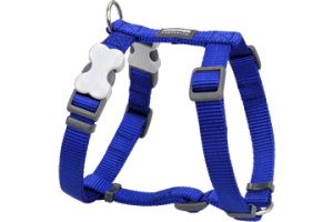 Harnais Basic Red Dingo Bleu