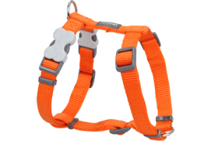 Harnais Basic Red Dingo Orange