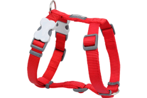 Harnais Basic Red Dingo Rouge