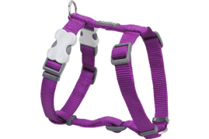 Harnais Basic Red Dingo Violet