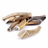Bois de Cerf entier