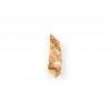 Bois de Daim mastication douce