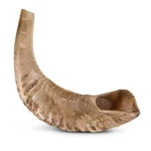 Corne de Mouton à Mâcher
