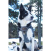 Harnais STYLE UPKA – Image 2