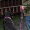 Collier DOG COPENHAGEN – Image 5