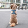 Harnais DOG COPENHAGEN – Image 6