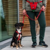 Laisse DOG COPENHAGEN – Image 5