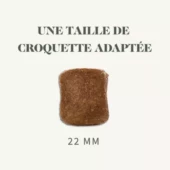 Bab'in Maxi  Stérilisé 12 KG – Image 2